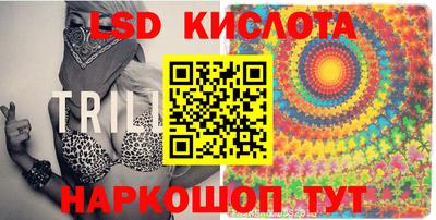 spice Славгород
