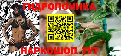 spice Славгород